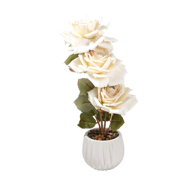 img55383_product_600x.jpg