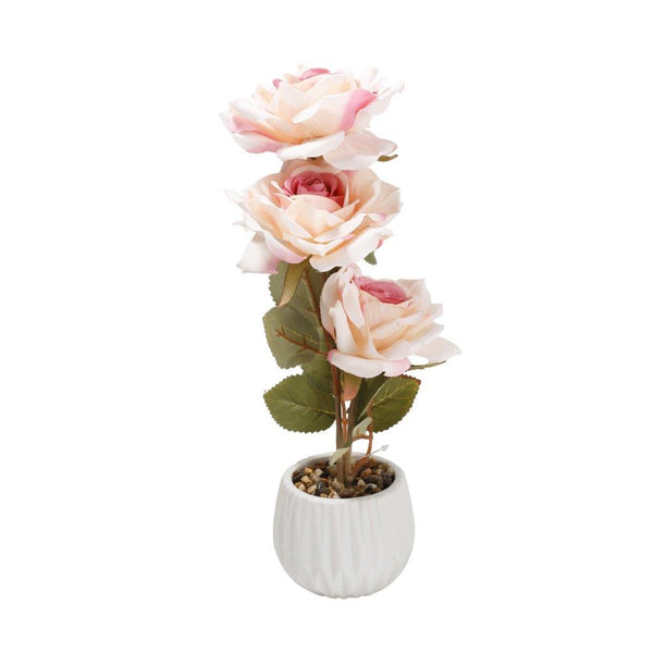 img59943_product_600x.jpg