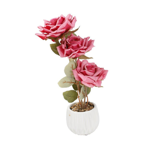 img65074_product_600x.jpg